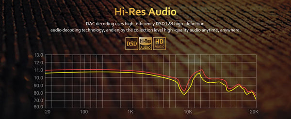 Diofox  HiFi MP3 Player, Lossless DSD High Resolution Digital Audio Music Player, High-Res Portable Audio Player with 64GB Memor