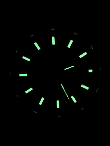 PABLO RAEZ Men's Luxury Silver Watch – SUS304 Steel, Luminous, Waterproof