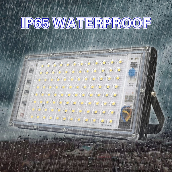 DSELCHUN 100W Led Flood Light AC 220V 230V 240V Outdoor Floodlight Spotlight IP65 Waterproof LED Street Lamp Landscape Lighting-kopara2trade.myshopify.com-